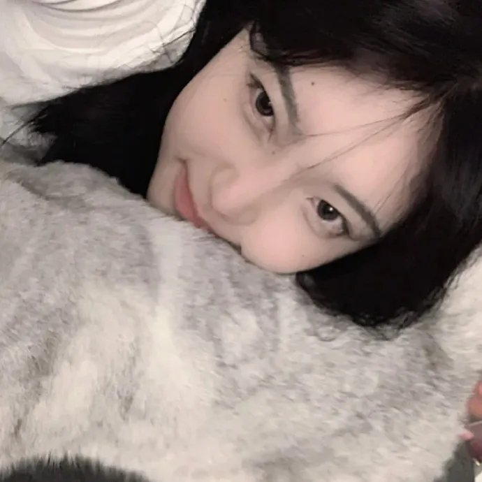 哈莉·奎茵第五季