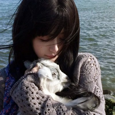 狂赌之渊第一季
